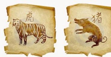 Združljivost moškega tigra in ženske prašiča (merjasca).